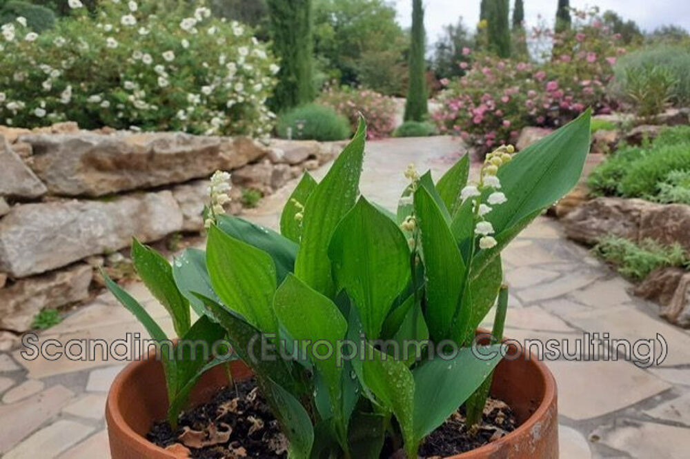 � vendre  Maison Cotignac (83570)