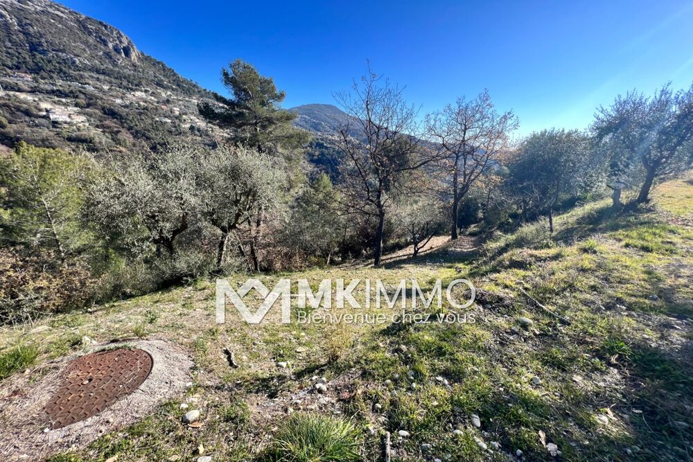 Vente Terrain vente terrain Castagniers