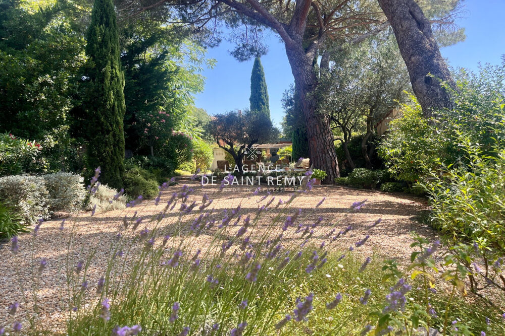 à vendre  Maison Saint-Rémy-de-Provence (13210)