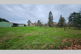  Maison à vendre 960 m²