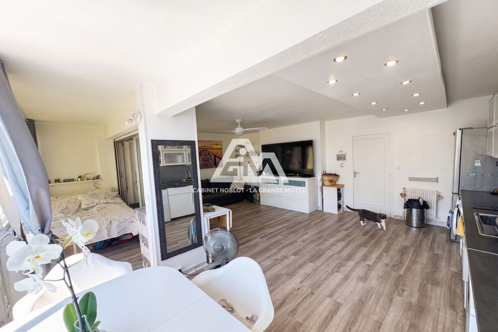 vente appartement 1 Pièce(s)
