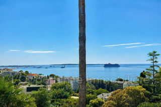  Appartement à vendre 1 pièce 22 m² Cannes