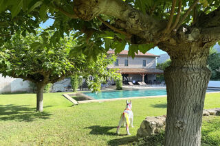  Maison à vendre 14 pièces 462 m²