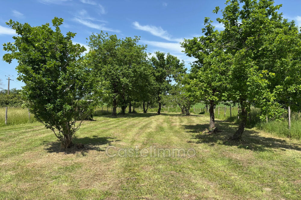 Vente Maison vente maison 4 Pièce(s) Saint-nicolas-de-la-grave