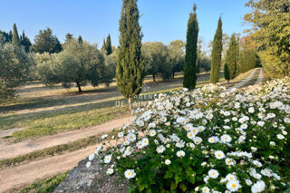  Maison � vendre 5 pi�ces 262 m�