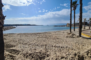  Appartement � vendre 2 pi�ces 31 m�