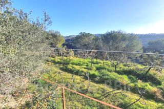  Terrain � vendre 7331 m�