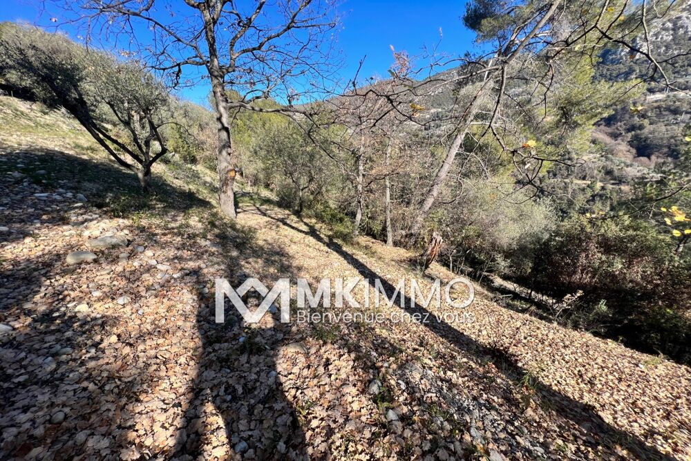 Vente Terrain vente terrain Castagniers