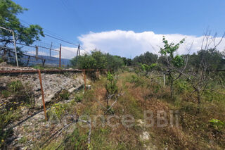  Terrain � vendre 7331 m�