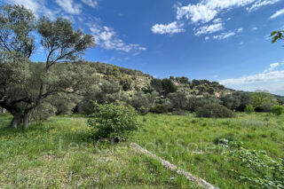  Terrain � vendre 5900 m� Toulon