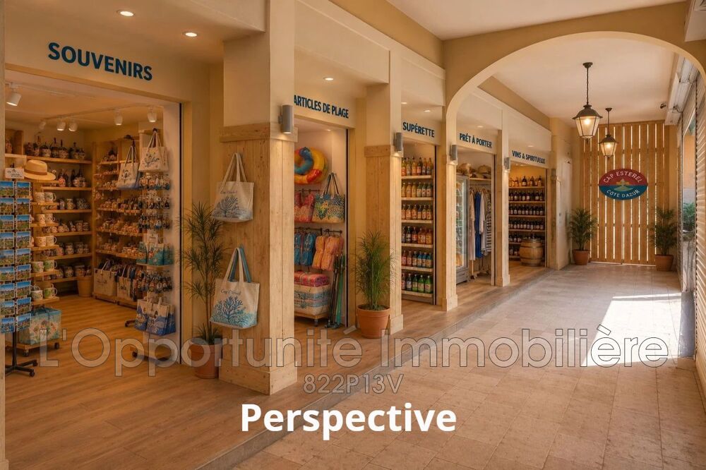   professionnel local commercial 