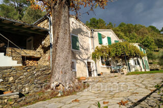  Maison  vendre 5 pices 199 m