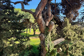  Appartement � vendre 1 pi�ce 29 m�