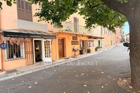   professionnel local commercial 