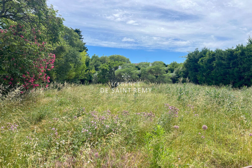  vendre  Maison Saint-Rmy-de-Provence (13210)