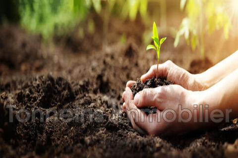 JARDINERIE PEPINIERE 65000m2 2450000 47200 Marmande