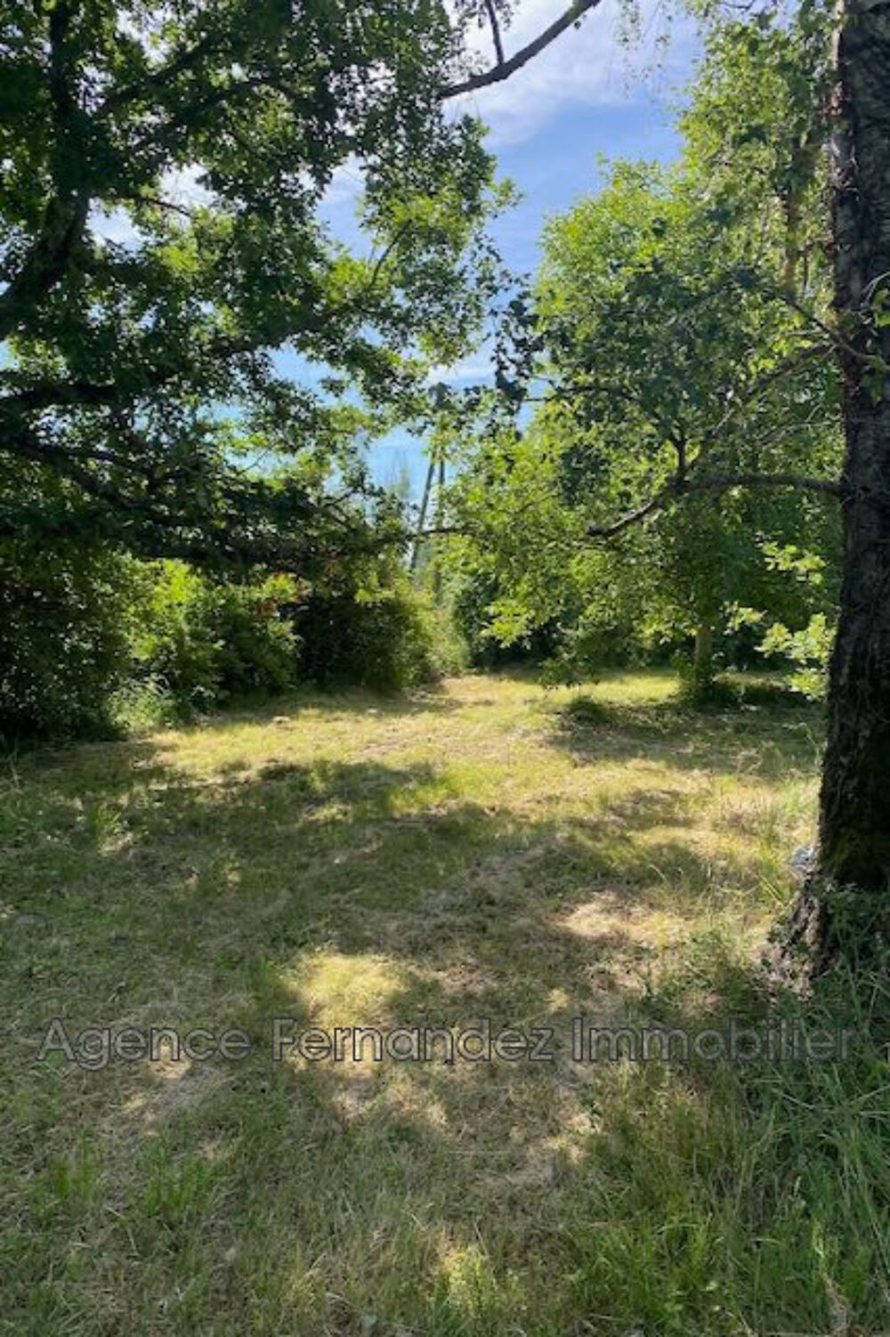 Vente Terrain TERRAIN DE LOISIR Bourg-le-comte