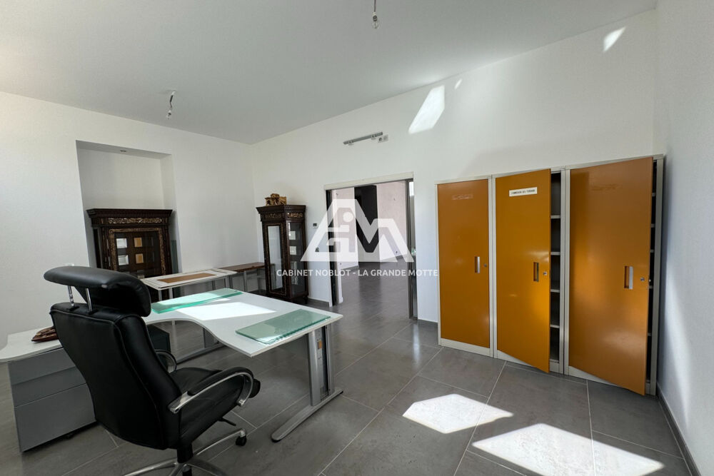 � vendre  H�tel Particulier Montpellier (34000)