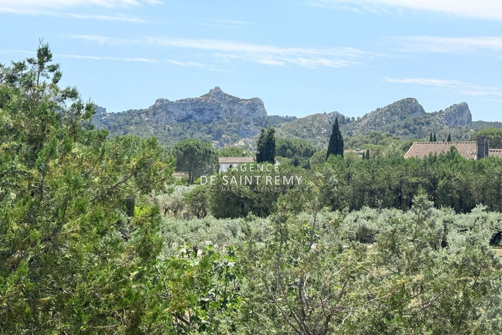 à vendre  Maison Saint-Rémy-de-Provence (13210)