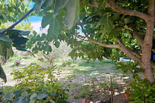  Terrain � vendre 320 m�