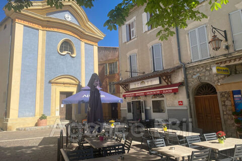 professionnel 167200 06670 Levens