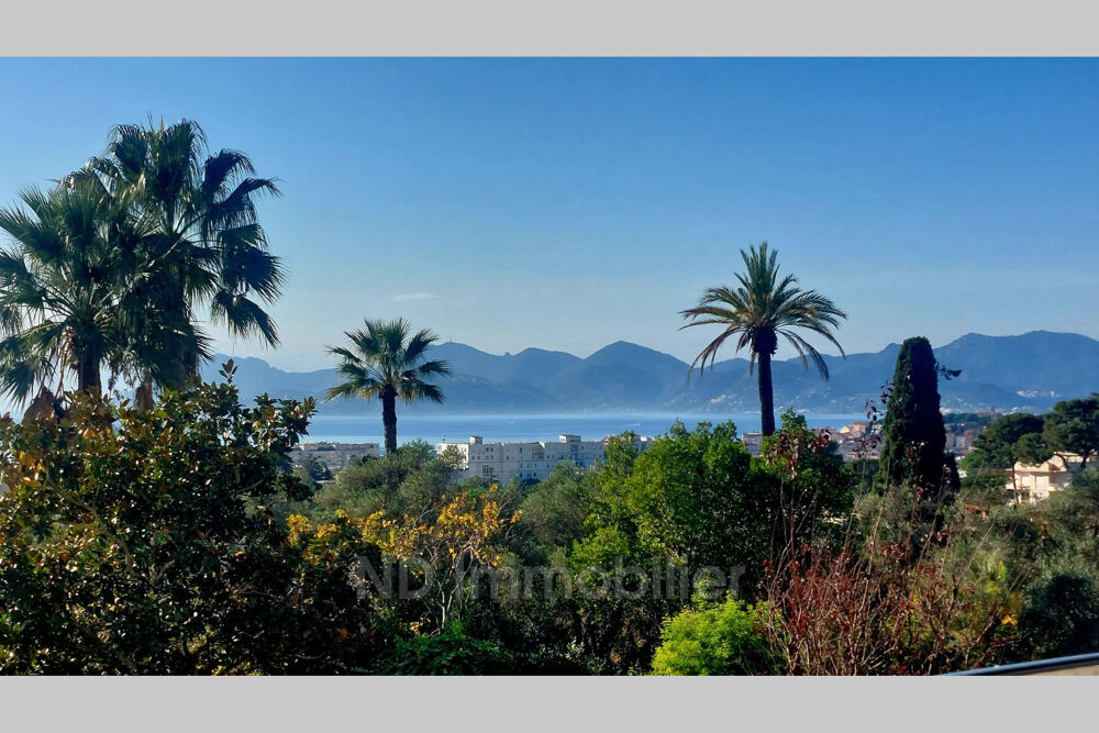 Vente Appartement vente appartement de prestige 3 Pièce(s) Cannes
