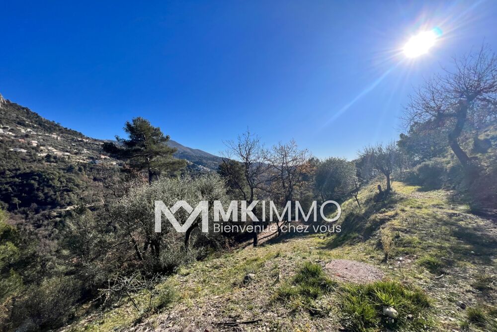 Vente Terrain vente terrain Castagniers