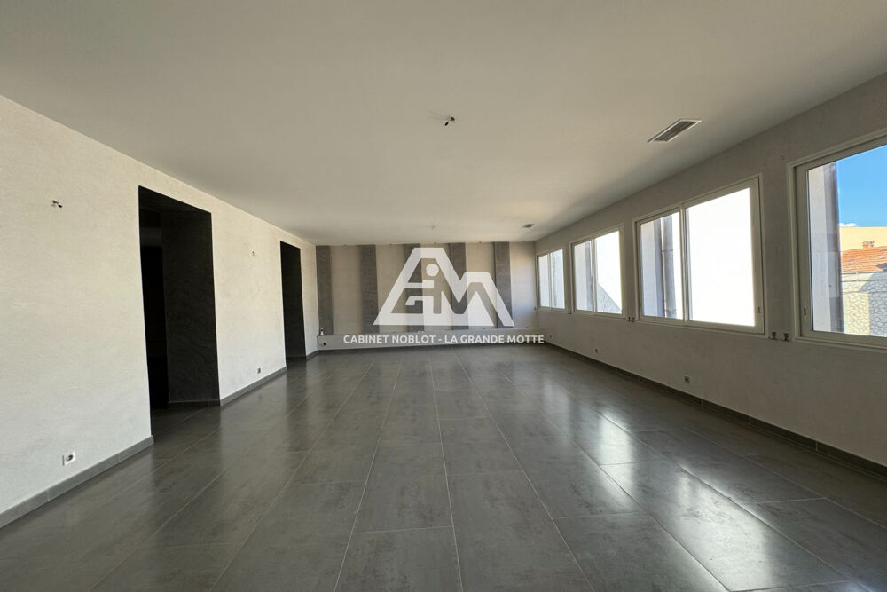 professionnel hôtel particulier 6 Pièce(s)