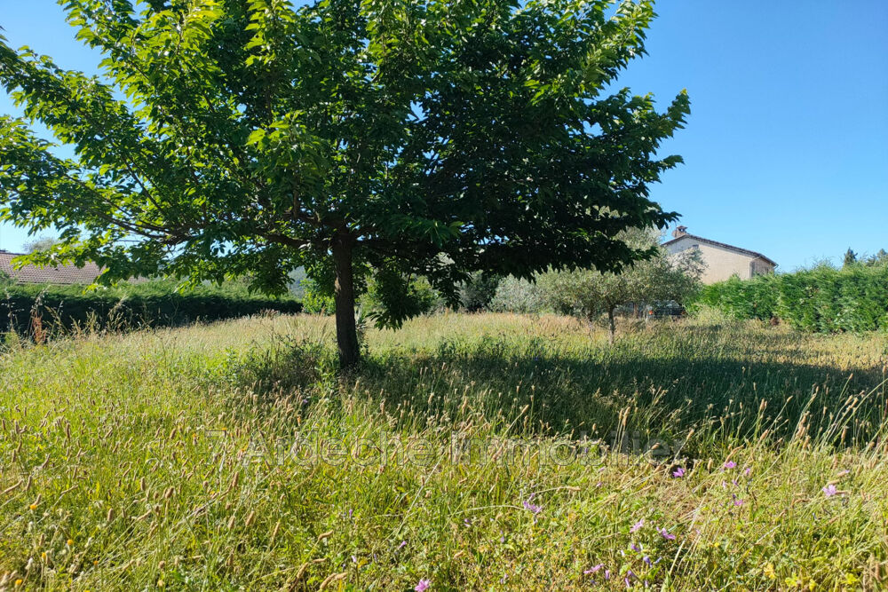 Vente Terrain vente terrain Lavilledieu
