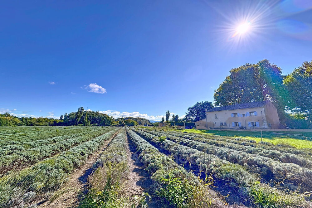 � vendre  Maison Le Thor (84250)