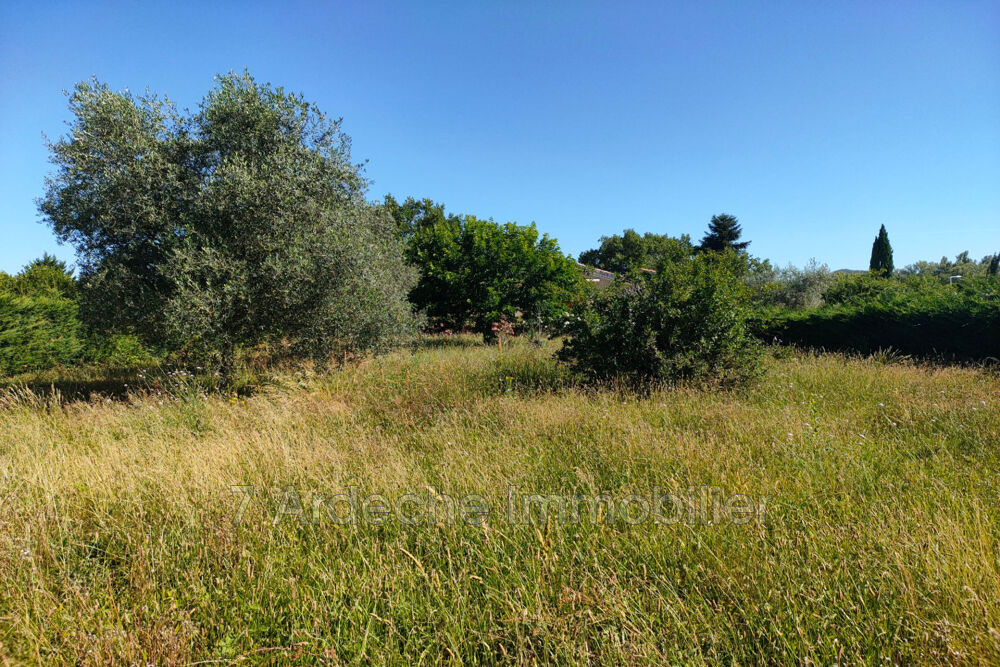 Vente Terrain vente terrain Lavilledieu