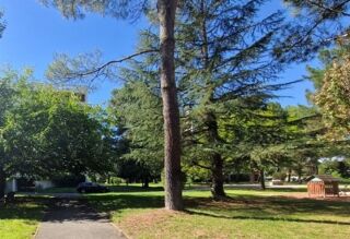  Appartement � louer 1 pi�ce 15 m�