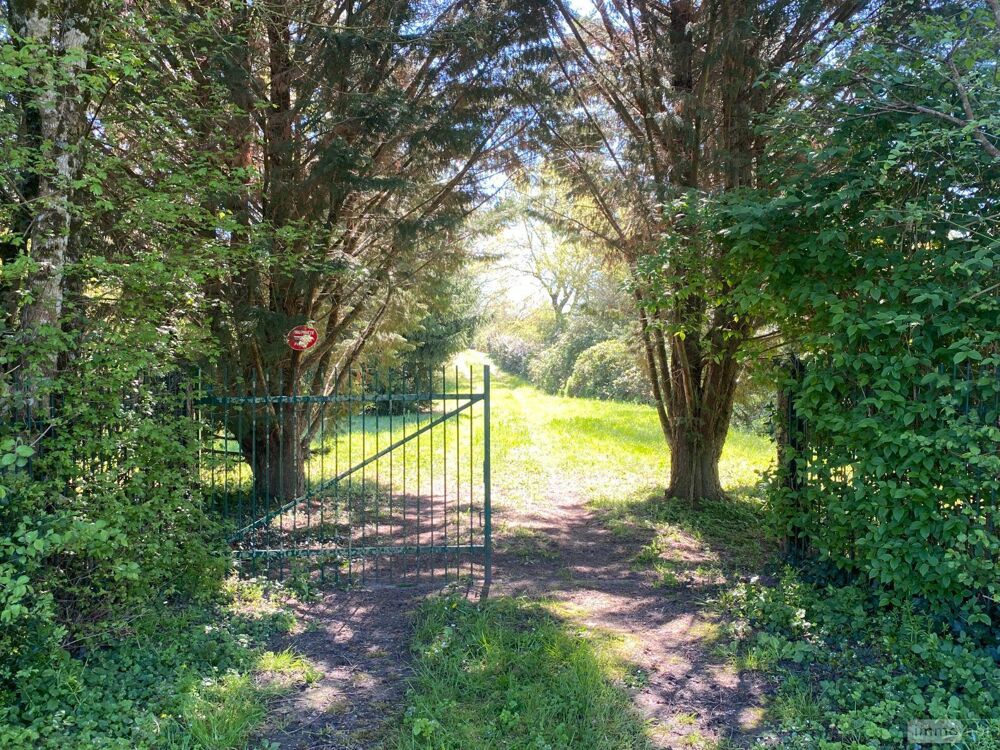vente Terrain - 7002 m² Saint-Genou (36500)