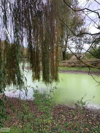  Terrain  vendre 11046 m