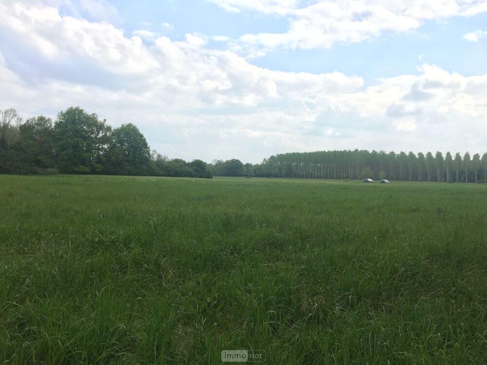 vente Terrain - 7728 m² Buzançais (36500)