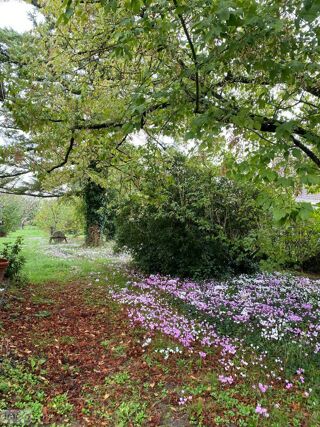  Maison � vendre 4 pi�ces 67 m�