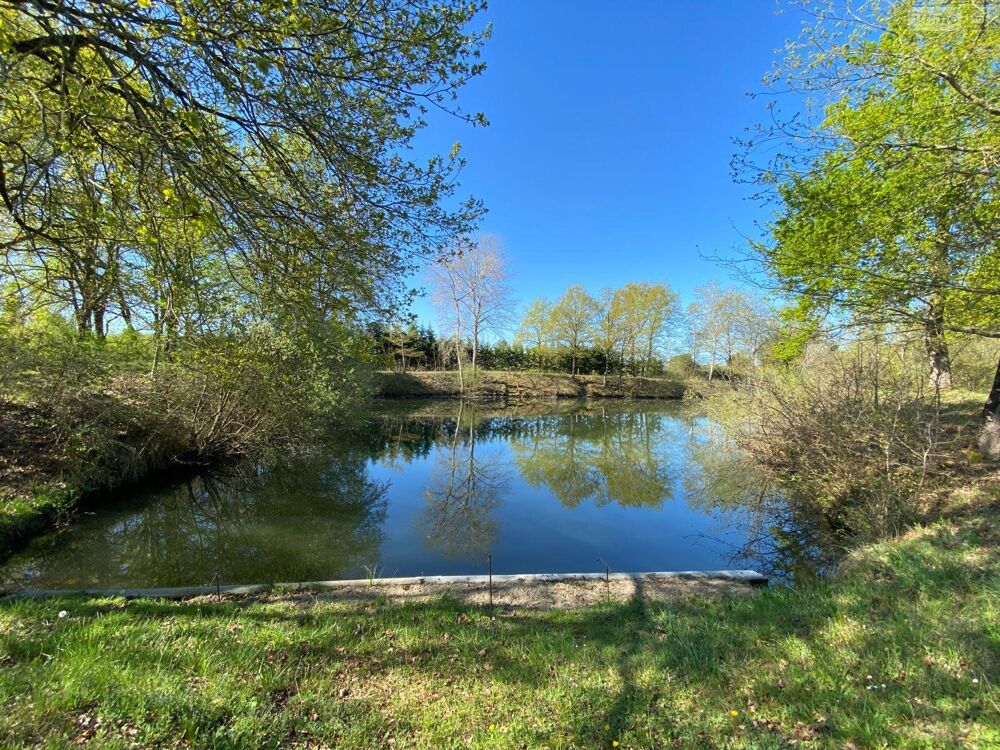 vente Terrain - 7002 m² Saint-Genou (36500)