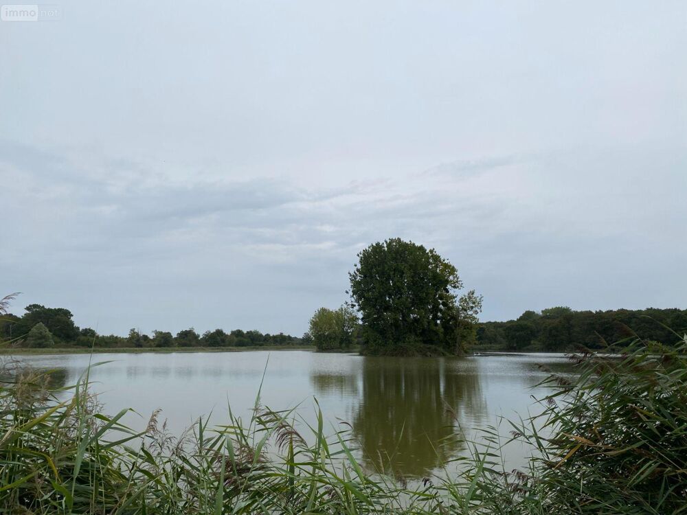 vente Terrain - 1621779 m² Martizay (36220)