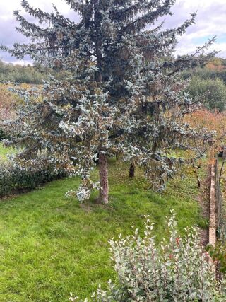  Maison � vendre 6 pi�ces 73 m�