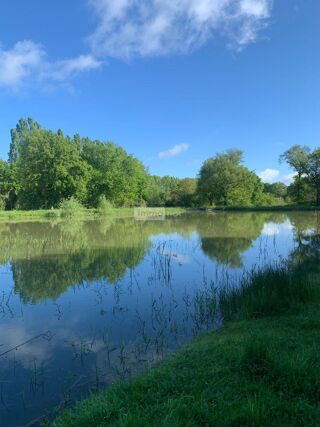  Terrain � vendre 15196 m�