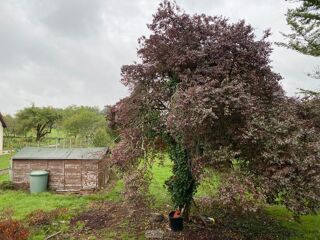  Maison  vendre 4 pices 67 m