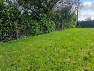  Terrain à vendre 560 m²