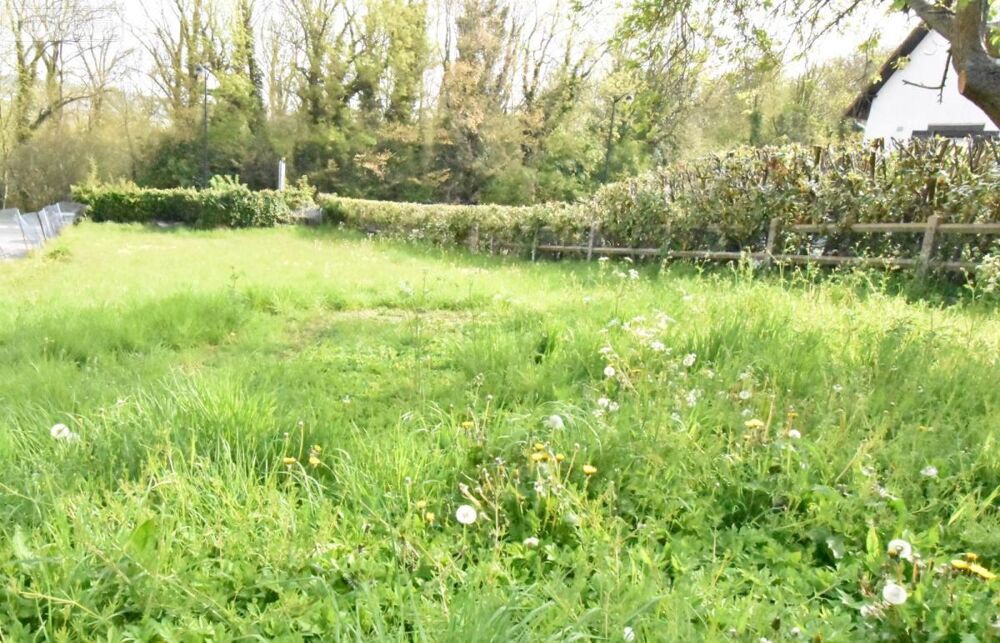 vente Terrain - 643 m² Eu (76260)