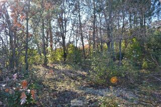  Terrain à vendre 1239 m²