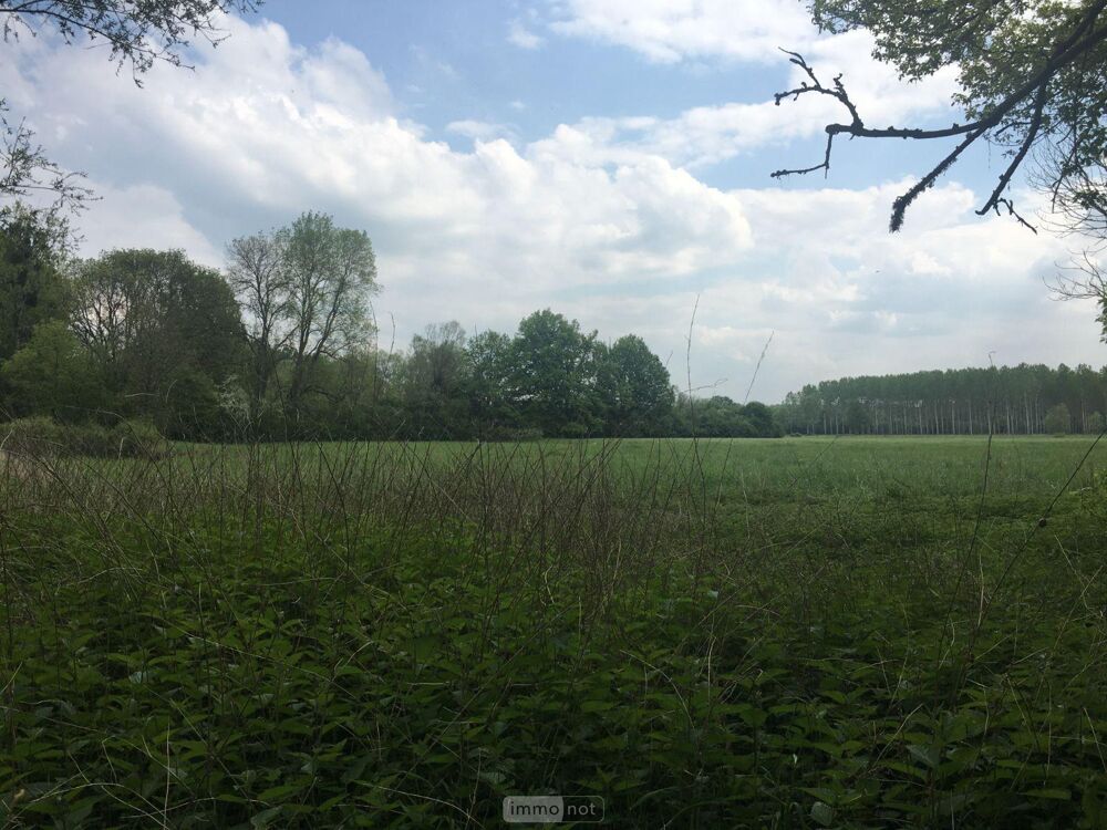 vente Terrain - 14778 m² Buzançais (36500)