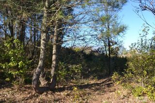  Terrain  vendre 1239 m