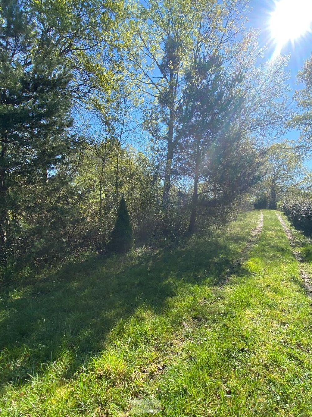 vente Terrain - 7002 m² Saint-Genou (36500)