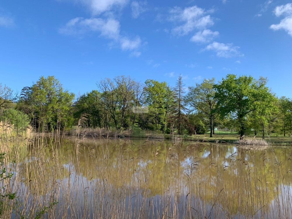 vente Autres - 11458 m² Mézières-en-Brenne (36290)