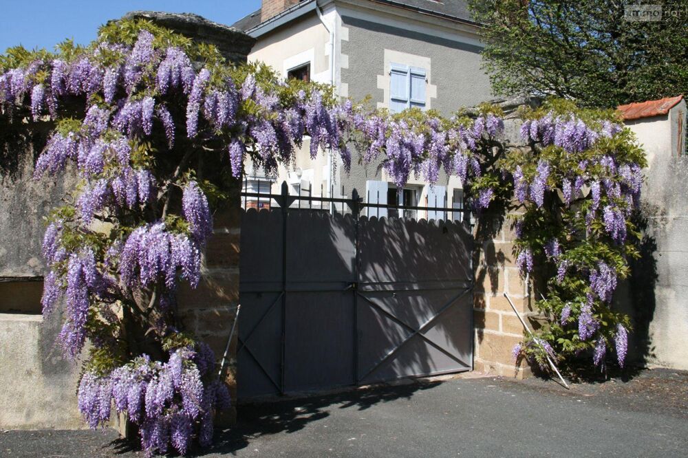 vente Maison - 10 pièce(s) - 328 m² Buzançais (36500)