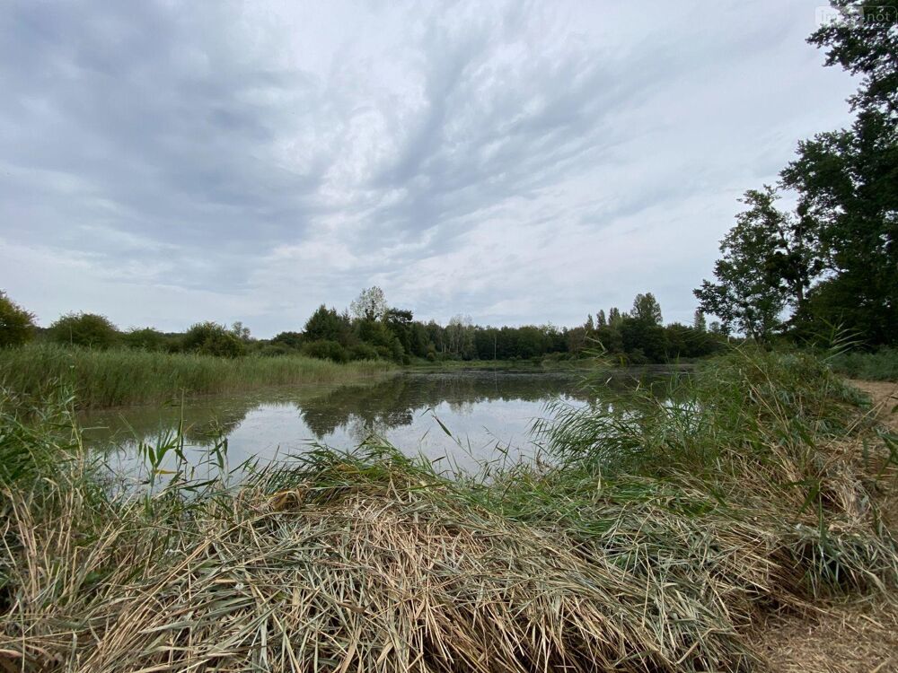 vente Terrain - 1621779 m² Martizay (36220)